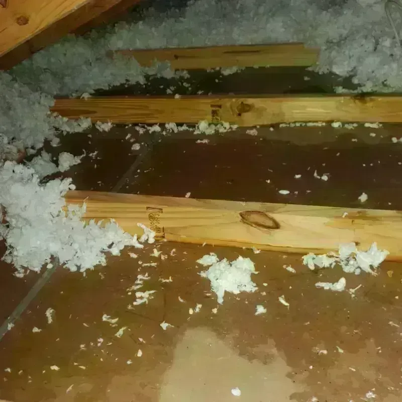 Attic Water Damage in Madison County, TX