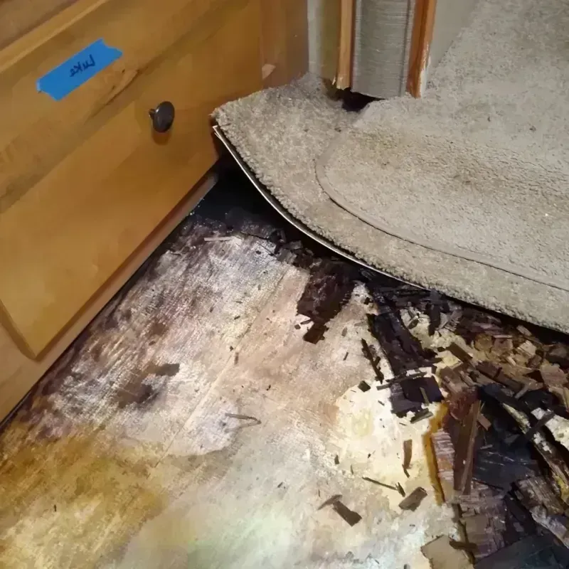 Best Wood Floor Water Damage Service in Madison County, TX